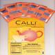 Sunrider CALLI Regular Concentrated Herbal Tea 5 Bags Sunrider CALLI Regular Concentrated Herbal Tea 5 Bags